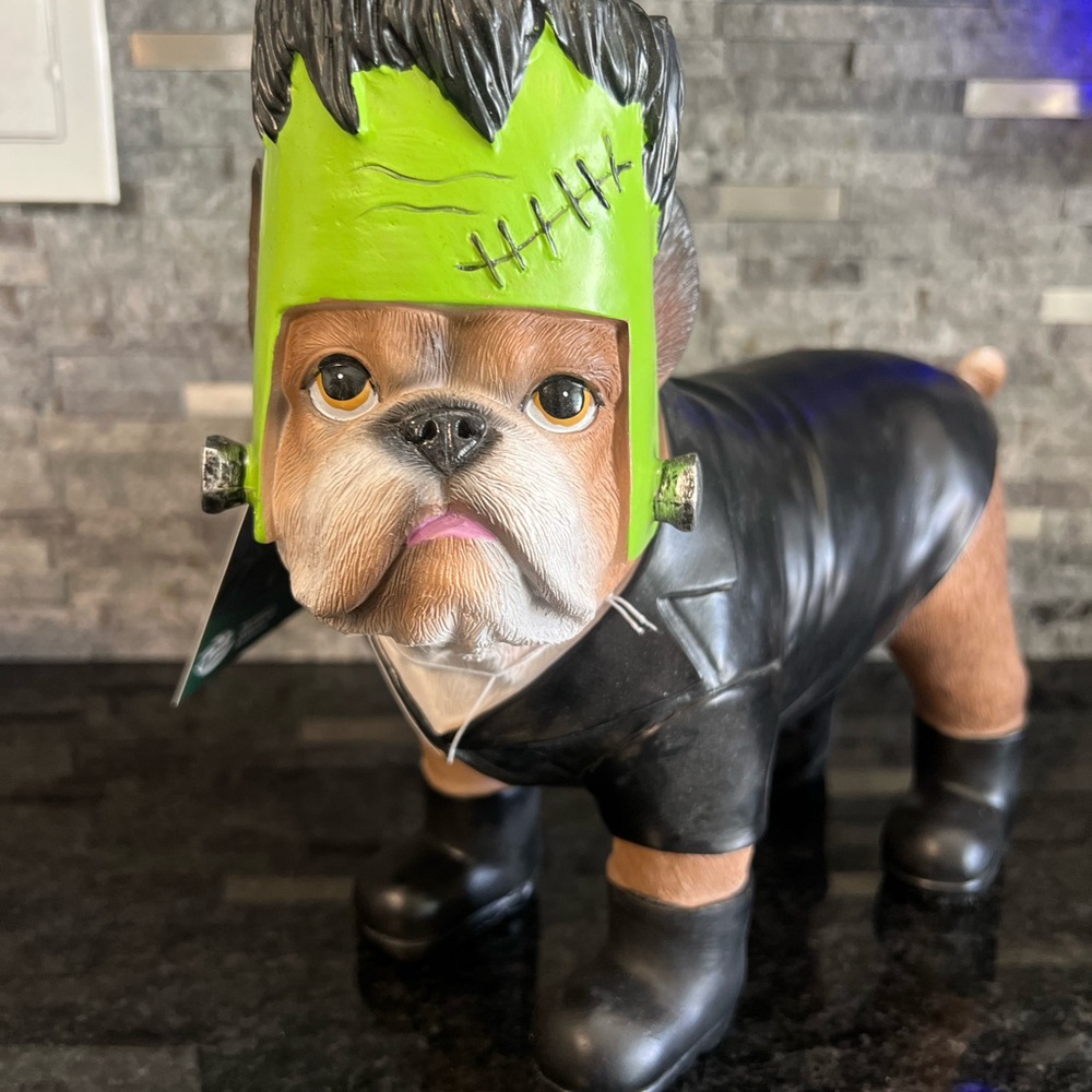 French Bulldog “FRANKENSTEIN”, Frenchie dressed in Halloween Costume, CUTE!!!